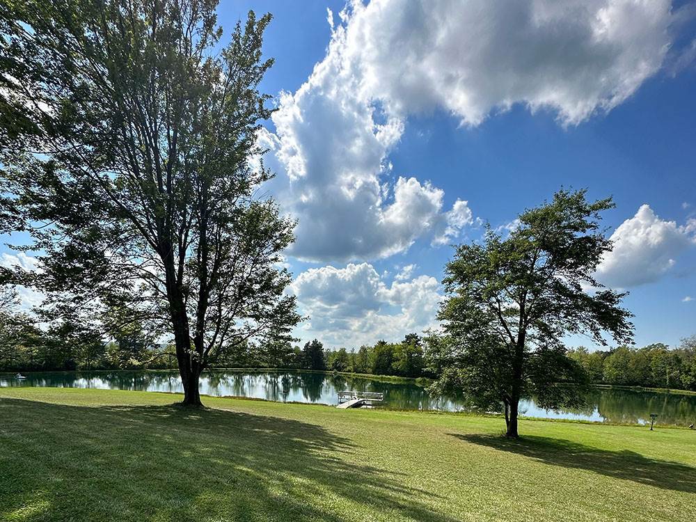 A view of the pond