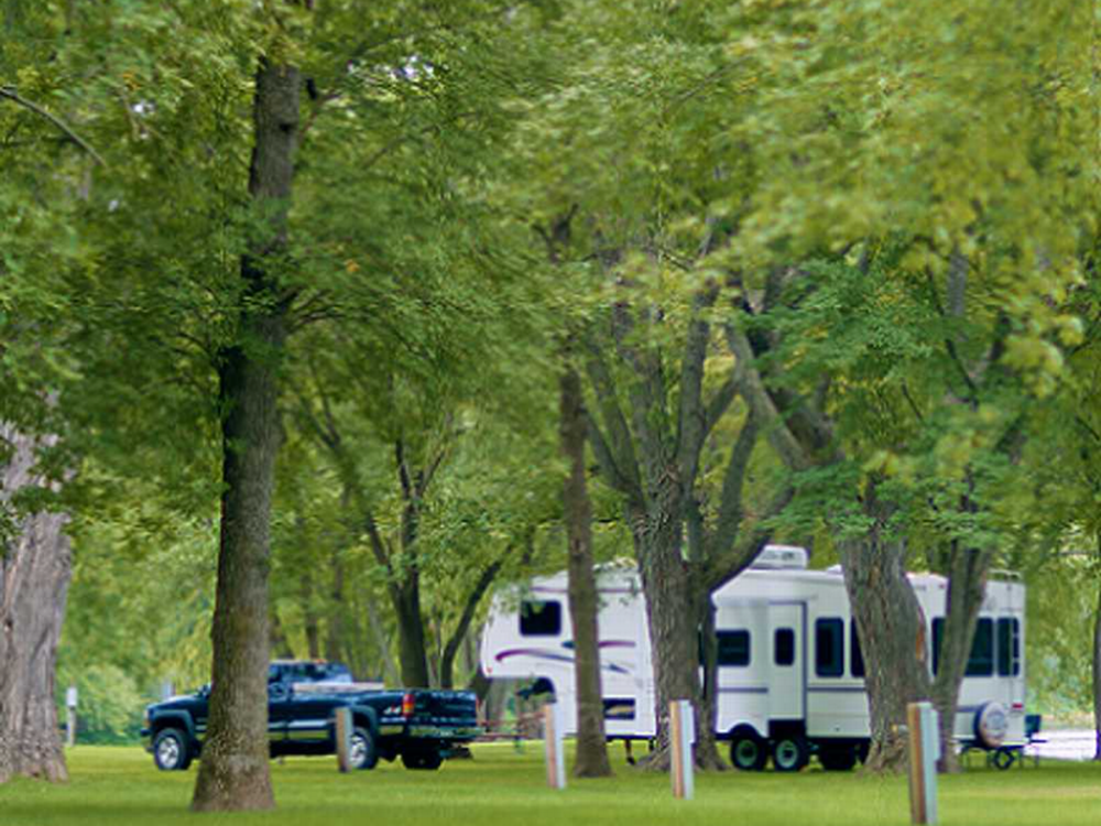 RV site among the trees