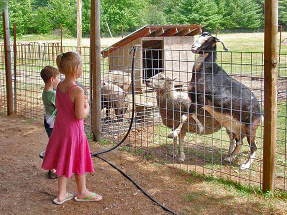 Tamworth Camping Area Tamworth campgrounds Good Sam Club