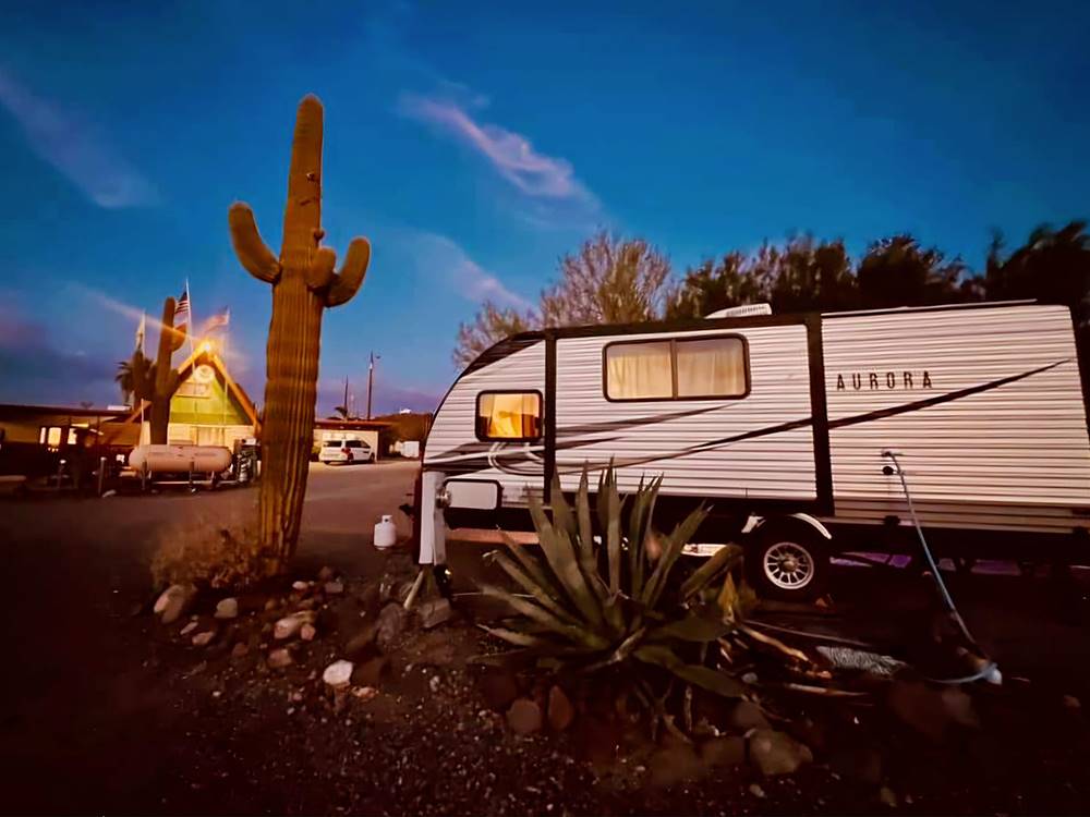 Trailer parked next to a cactus at Black Canyon Campground