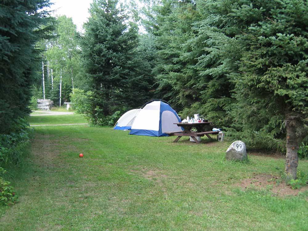 A group of grassy tent sites at HAPPY LAND RV PARK