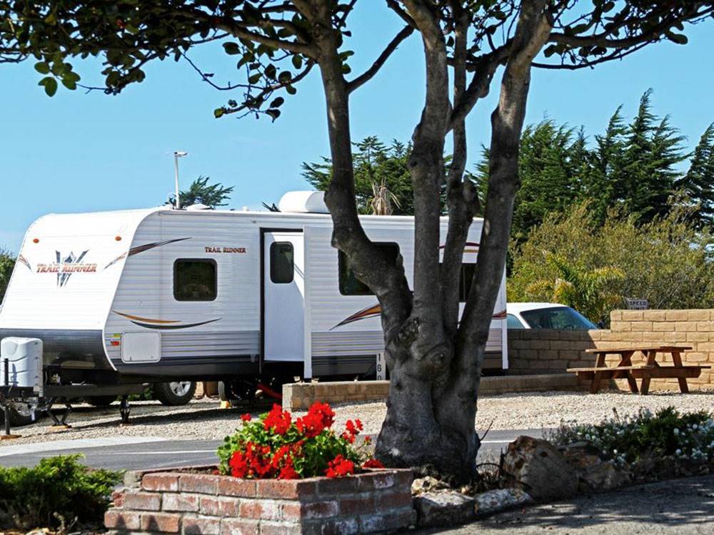 A travel trailer at a site
