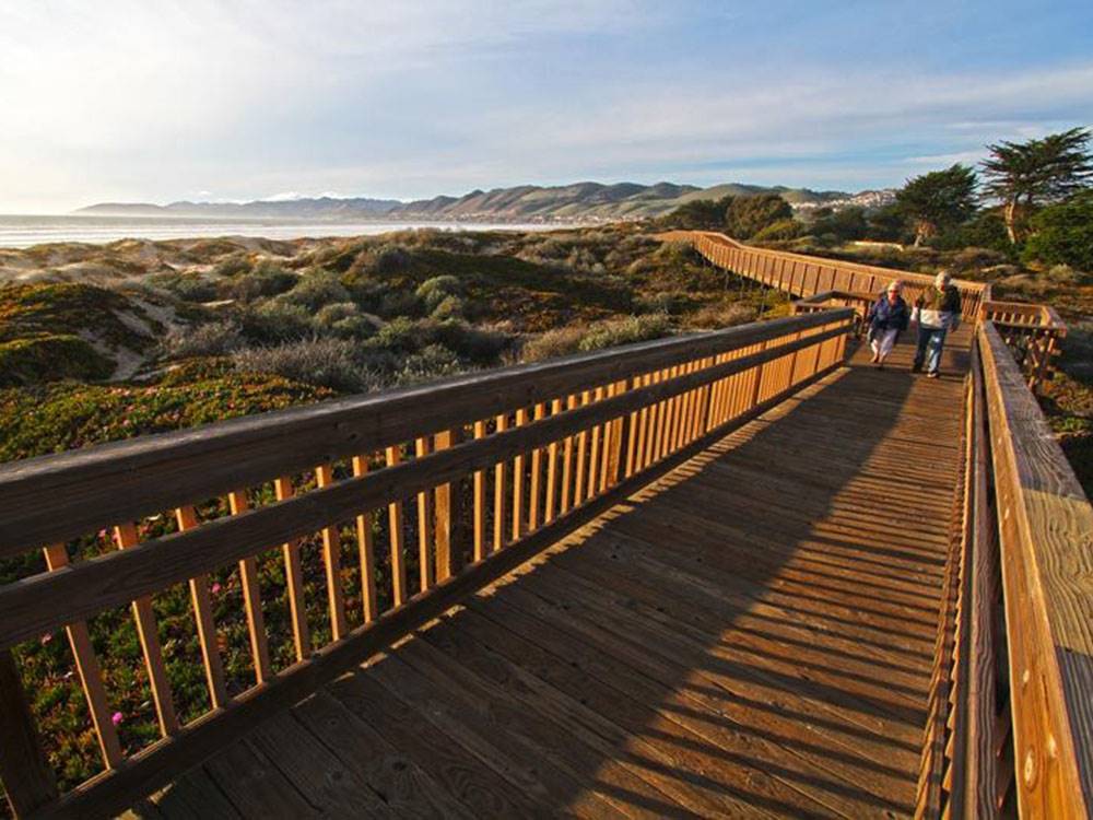 A wooden walkway leading to the beach