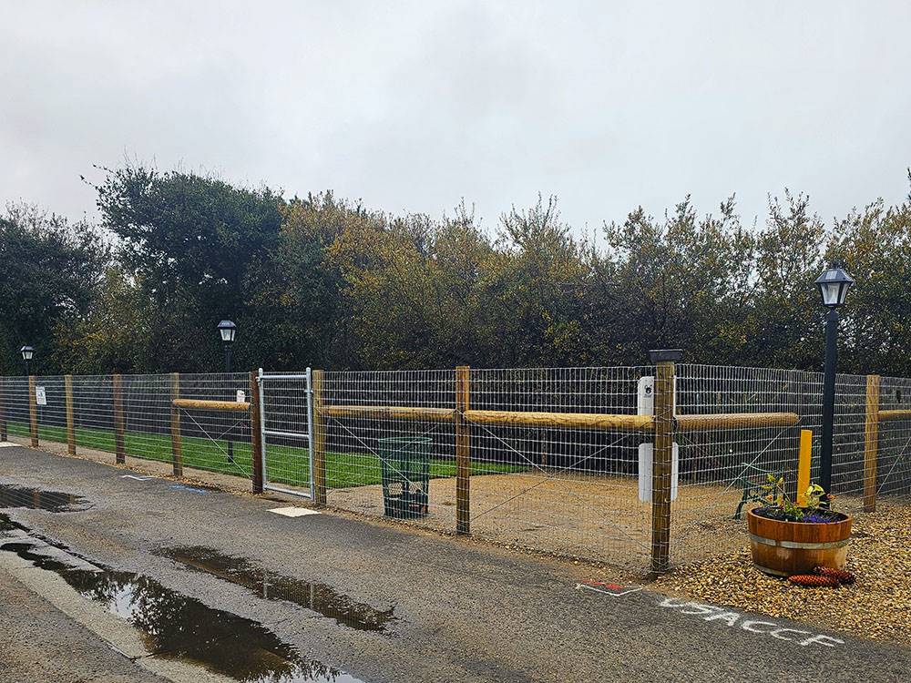 The fenced dog area