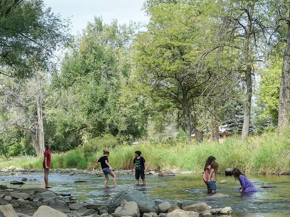 Playing in a creek at Riverview RV Park & Campground