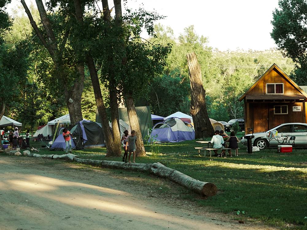 Log lined path at Riverview RV Park & Campground