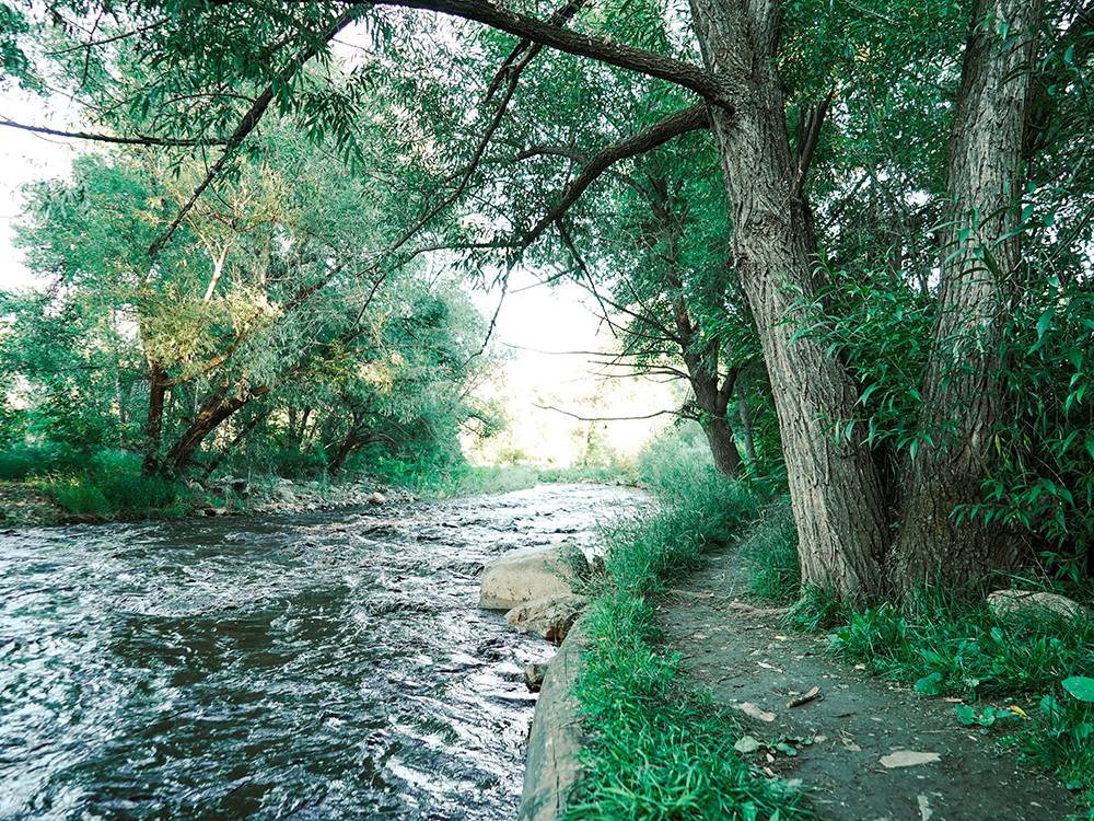 Creek flowing at Riverview RV Park & Campground