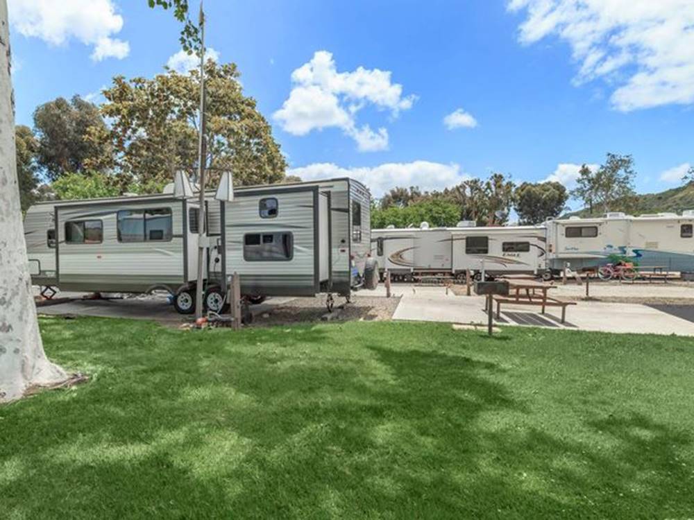 RVs parked near trees and grass