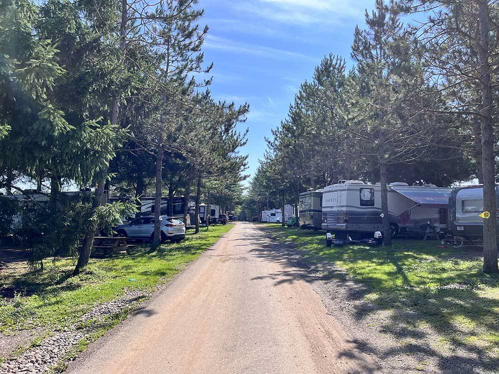 The dirt road going thru the RV sites at SCOTIA PINE CAMPGROUND