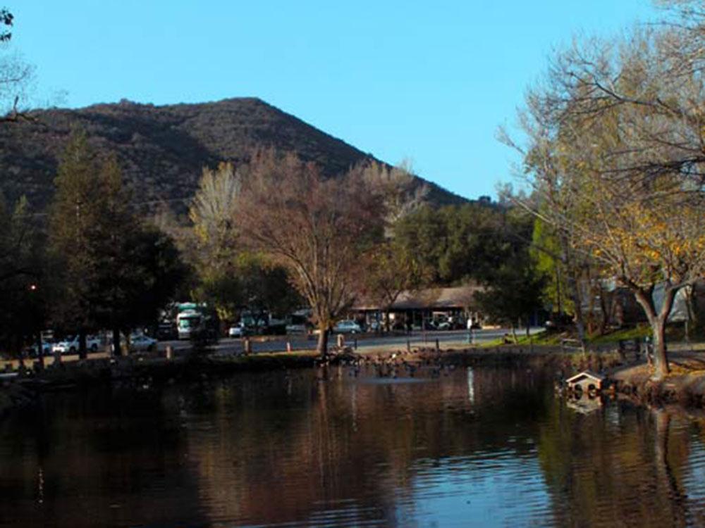 Ducks swimming in the pond at WOODS VALLEY KAMPGROUND & RV PARK