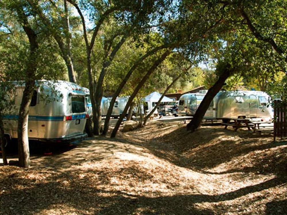 Airstreams backed in under some trees at WOODS VALLEY KAMPGROUND & RV PARK