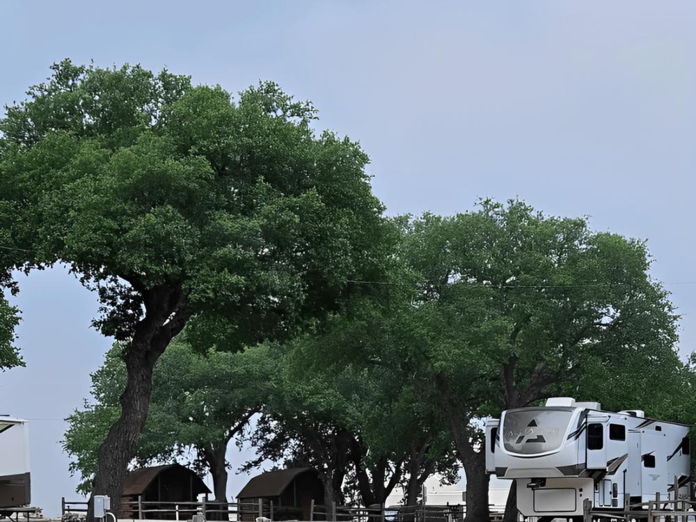 RV parked under trees at Bending Oaks Ranch RV Resort