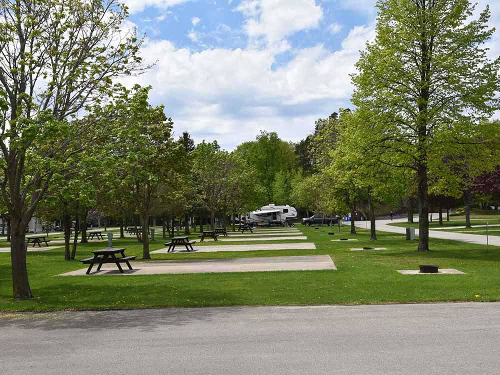 A line of paved RV sites with picnic benches at WOODLAND PARK