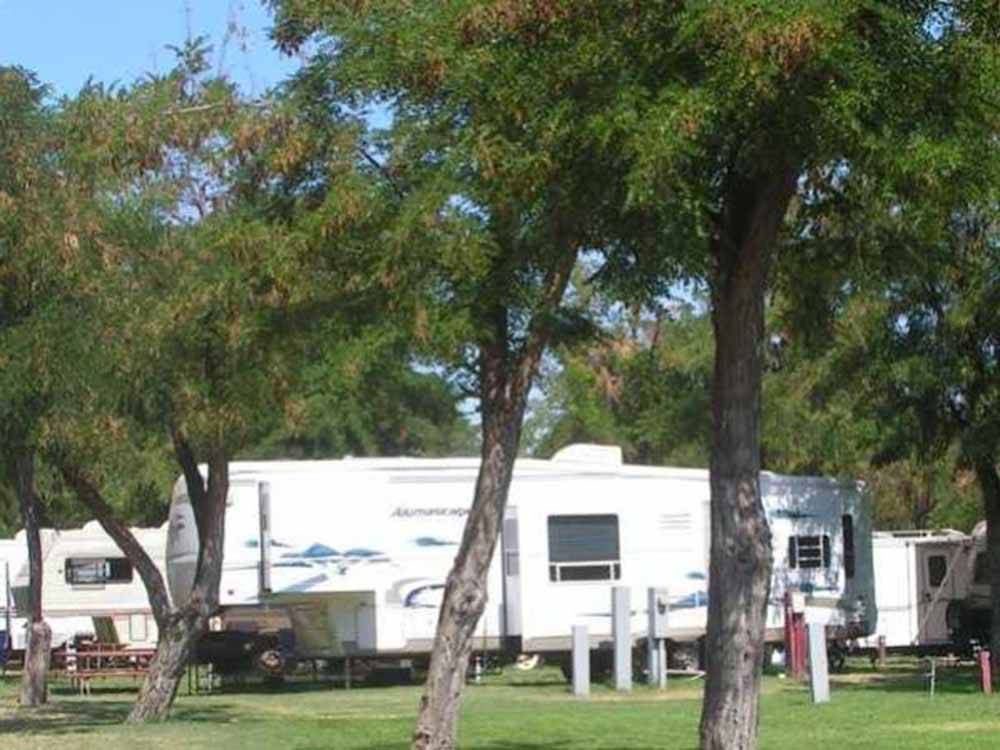 A line of trees in front of a fifth wheel trailer at HAT ROCK CAMPGROUND