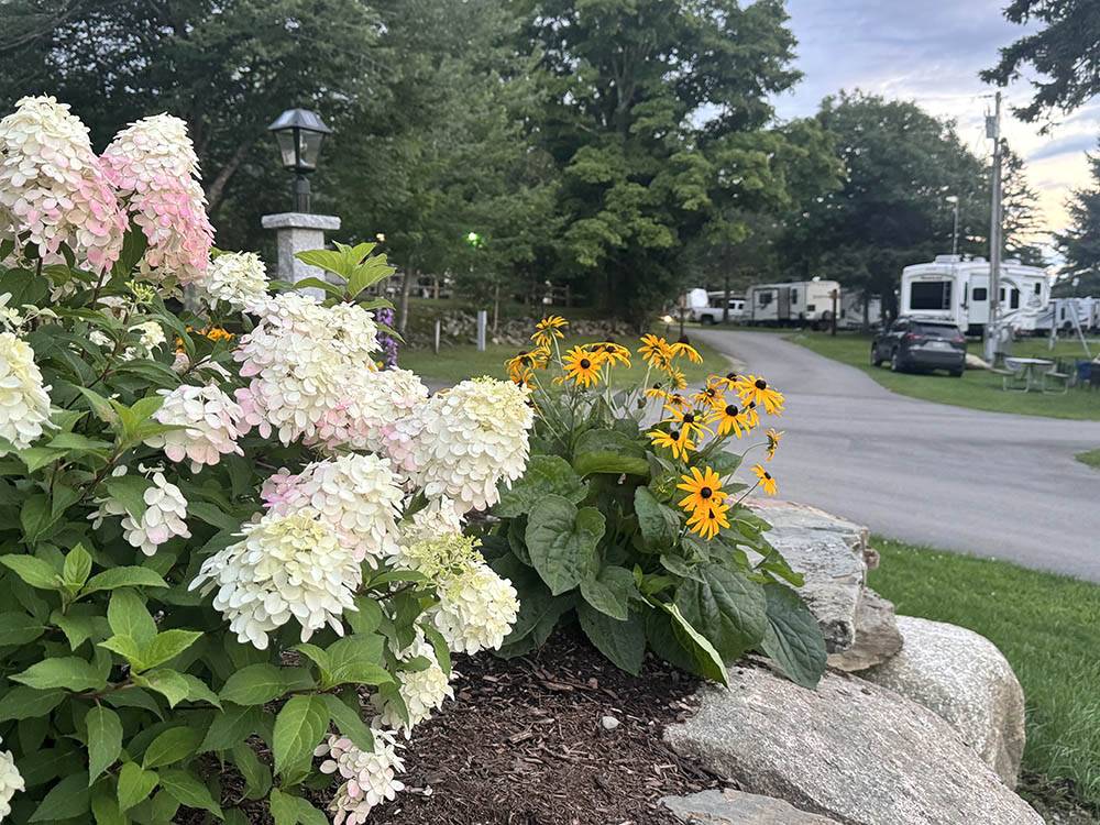 Flower and rock landscaping