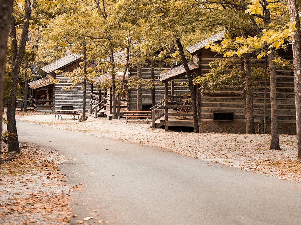A paved road leading to cabins