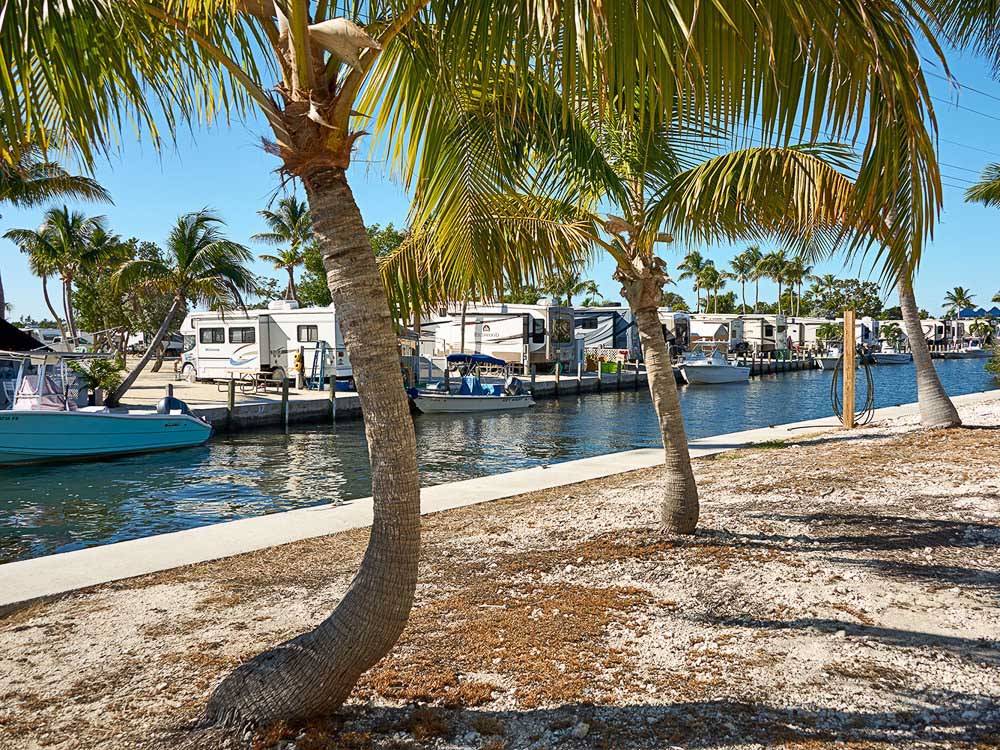 RVs parked along a dock area on a long channel at BIG PINE KEY RESORT