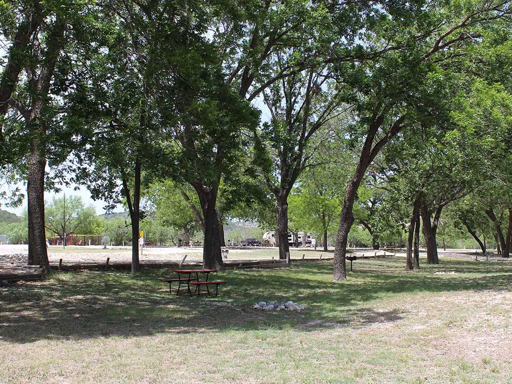A picnic bench and fire pit under tall trees at NORTH LLANO RIVER RV PARK