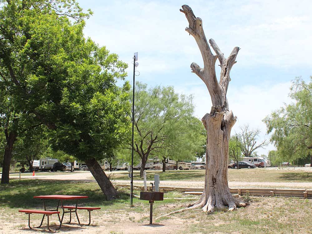 A bench and fire pit by a trimmed tree at NORTH LLANO RIVER RV PARK