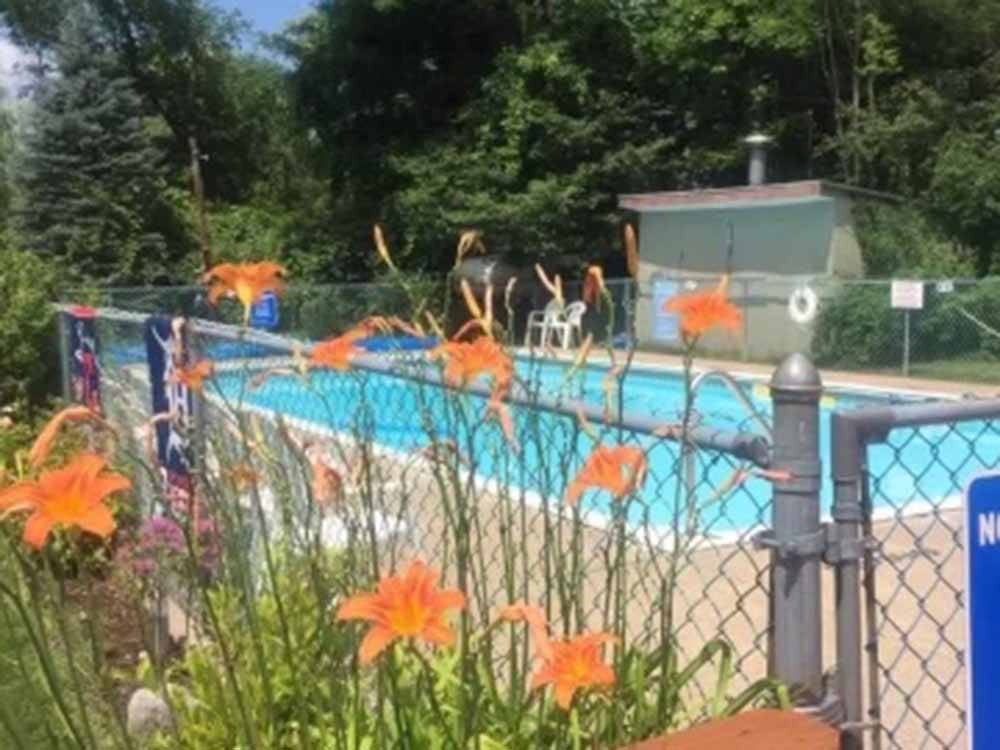 Flowers lining the fence outside the pool area at COOPERSTOWN SHADOW BROOK CAMPGROUND