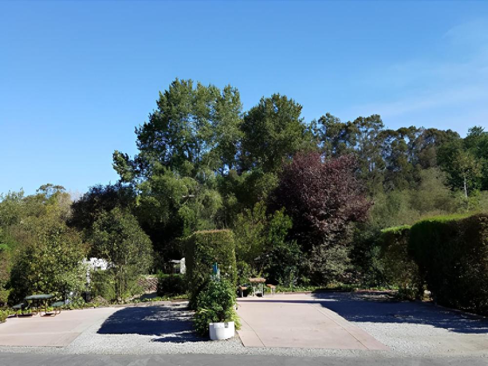 RV site with landscaped privacy screen