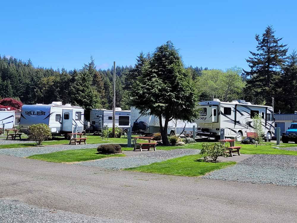 RVs, lush green trees and bright blue sky at Port Orford RV Village