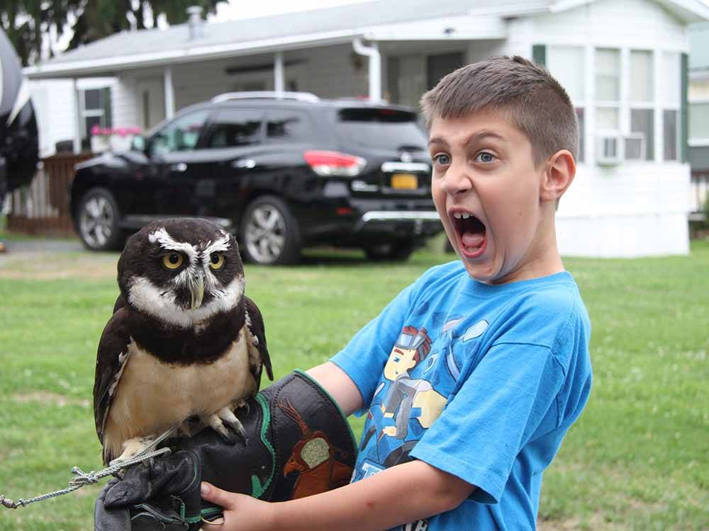 A excited boy holding a owl at THE "WILLOWS" ON THE LAKE RV PARK & RESORT