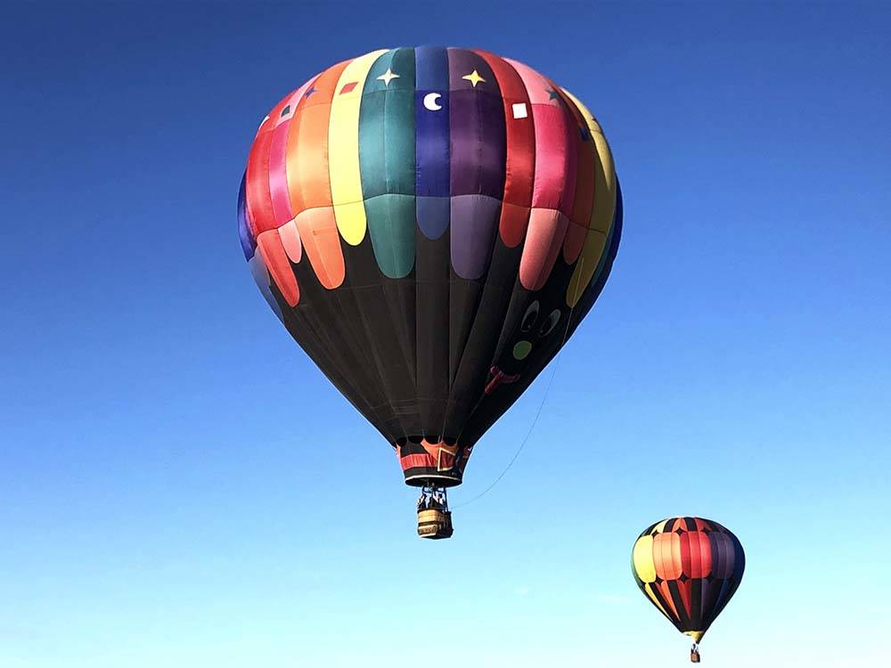 Two colorful hot air balloons at DIXIE FOREST RV RESORT BY RJOURNEY