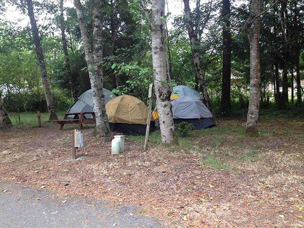Tents camping at VILLAGE CAMPER INN RV PARK