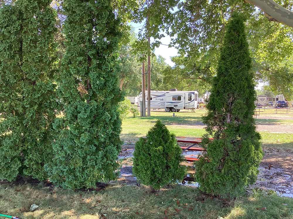 A picnic table behind some bushes at GEM STATE RV PARK