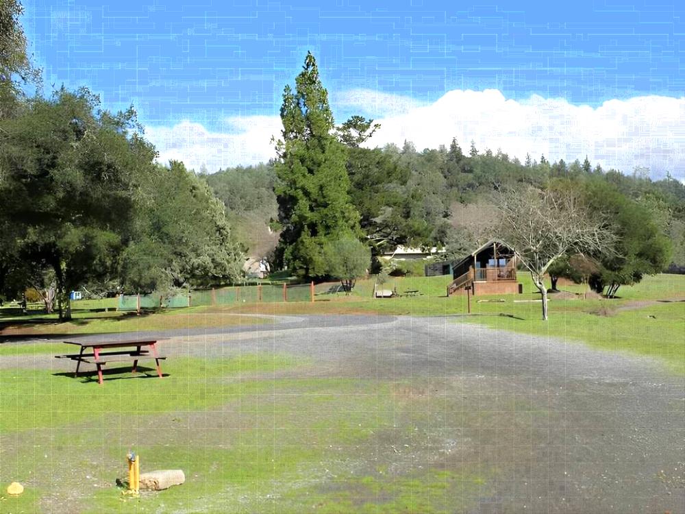 Picnic tables at Cloverdale/Healdsburg Campground