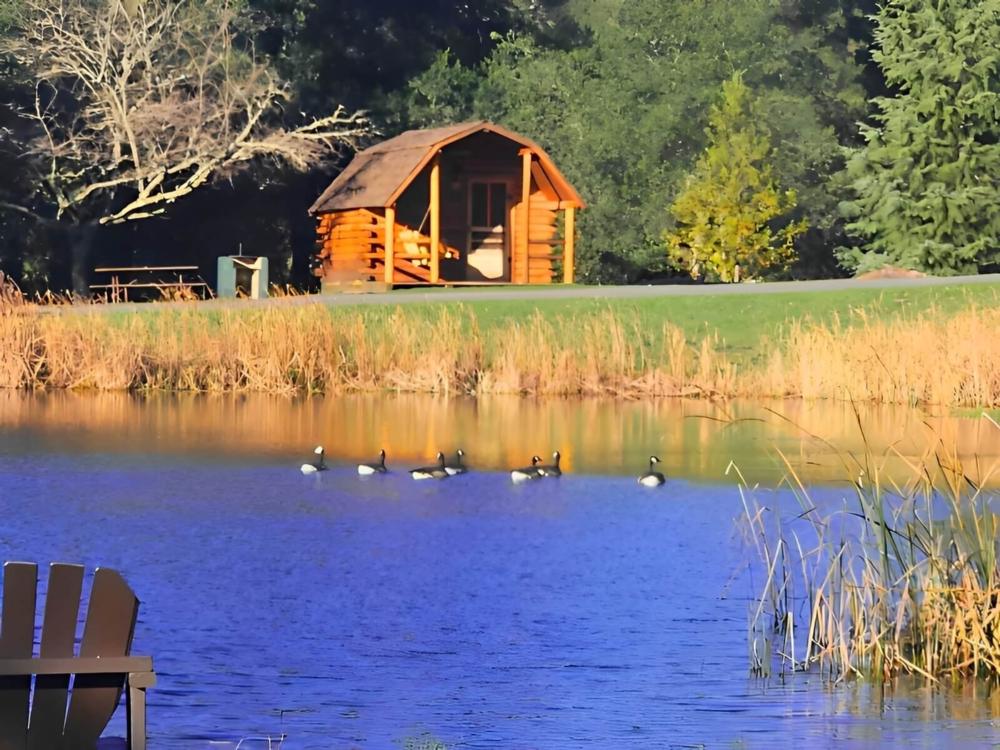 Cabin in front of lake at Cloverdale/Healdsburg Campground