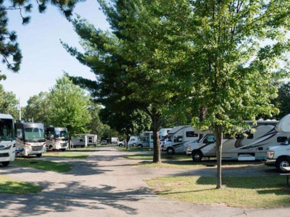 Rows of occupied RV sites at Bonanza Camping Resort