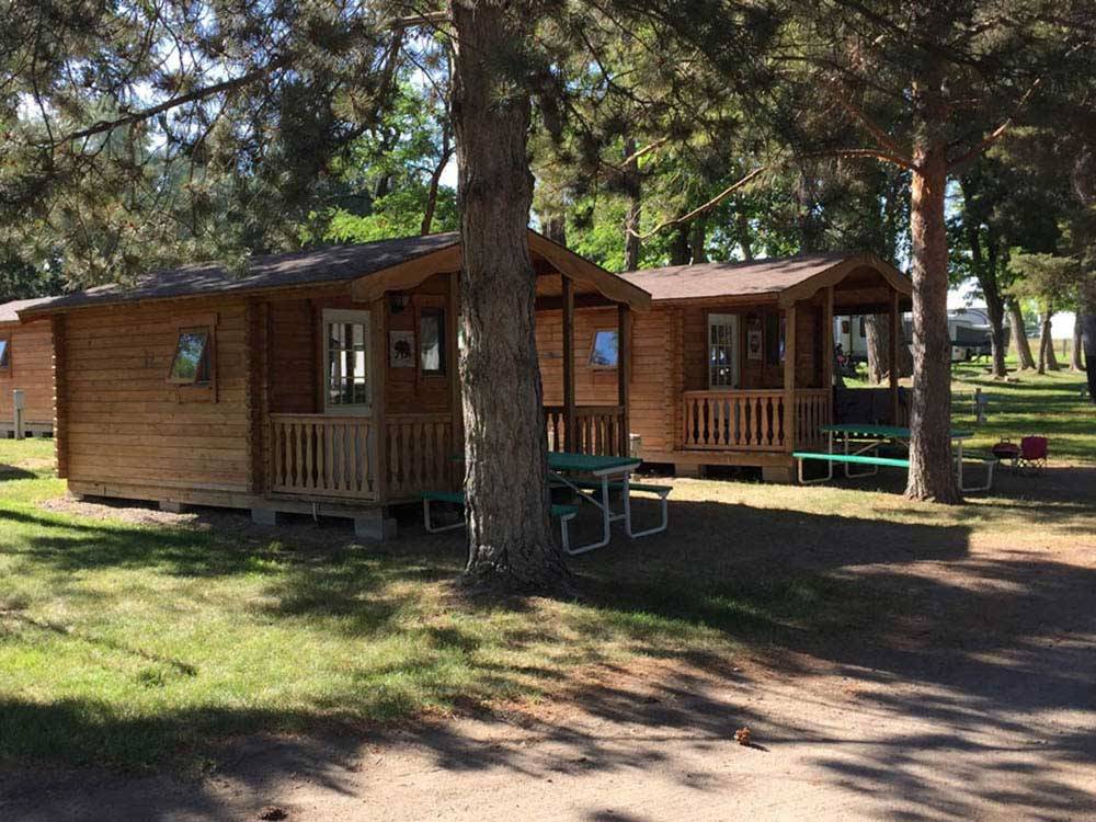 Cabins under the trees at ANDERSON CAMP