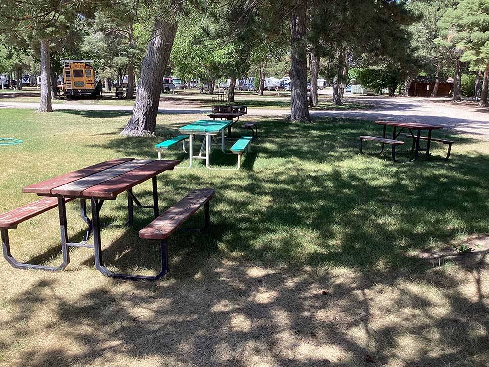 A line of picnic benches at ANDERSON CAMP