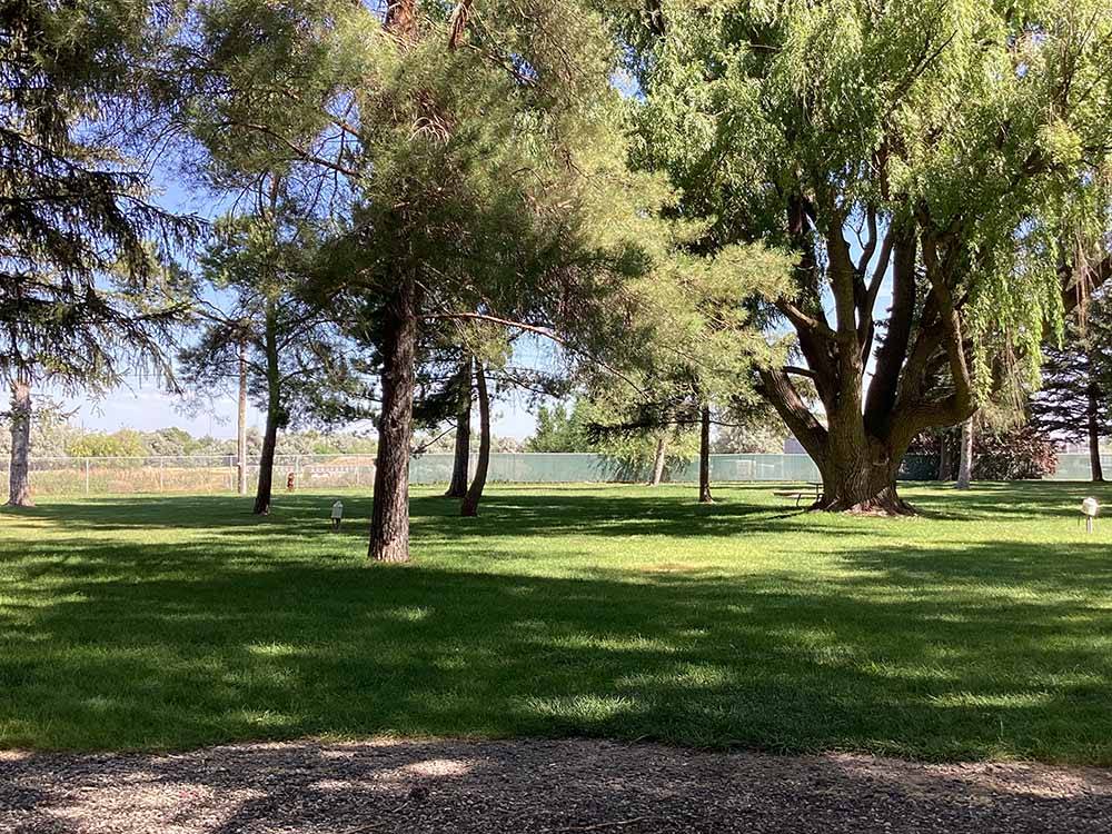 A grassy area with trees at VILLAGE OF TREES RV RESORT