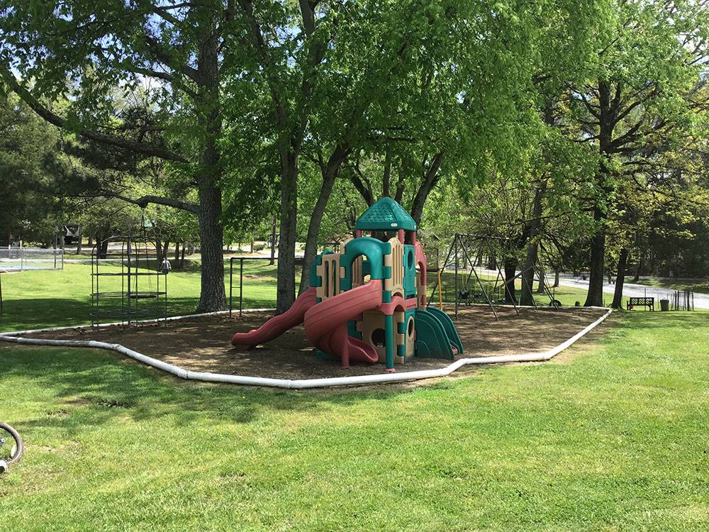 Play structures at the playground