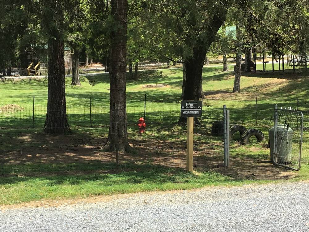 The enclosed dog run