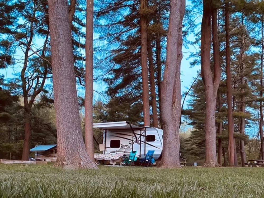 RV at site under giant trees at WHIPPOORWILL MOTEL & CAMPSITES