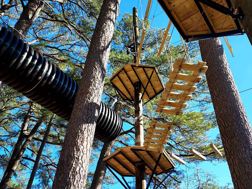 The rope course high in the trees at SUN OUTDOORS FRONTIER TOWN