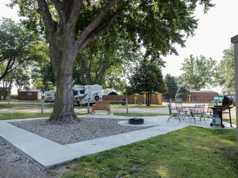 A BBQ and firepit under a tree