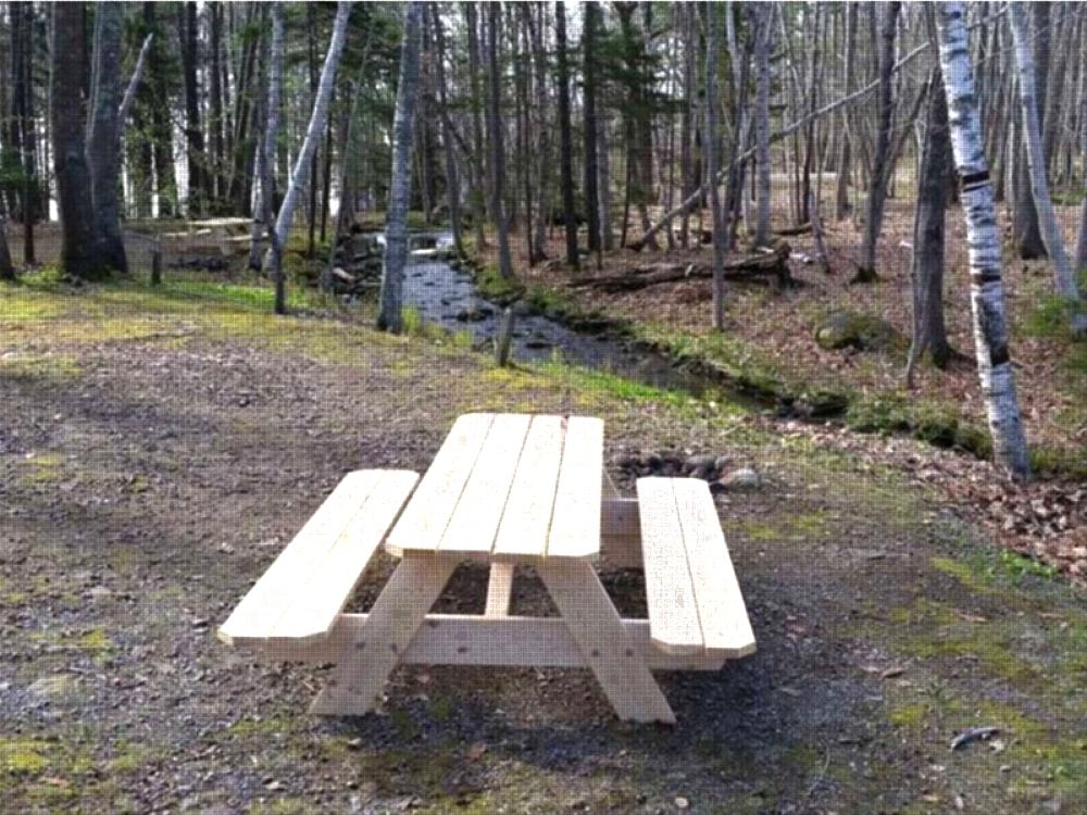 Panic table at site Megunticook Campground by the Sea