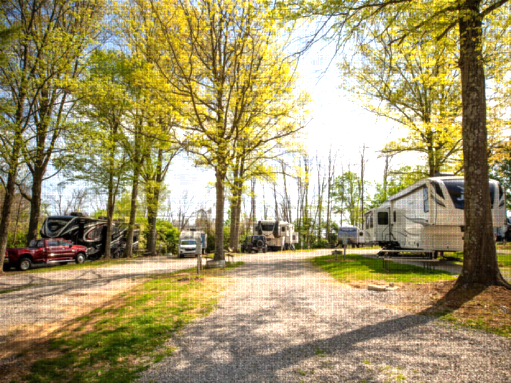 RV sites among the trees