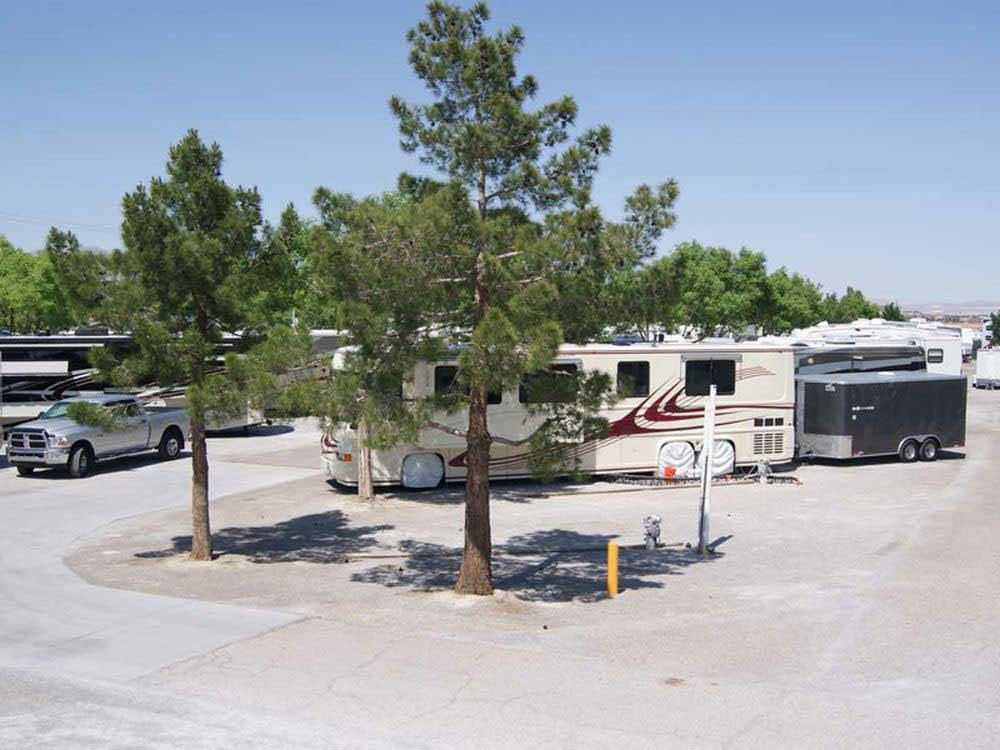 A row of RV sites with a couple of trees at HITCHIN' POST RV PARK