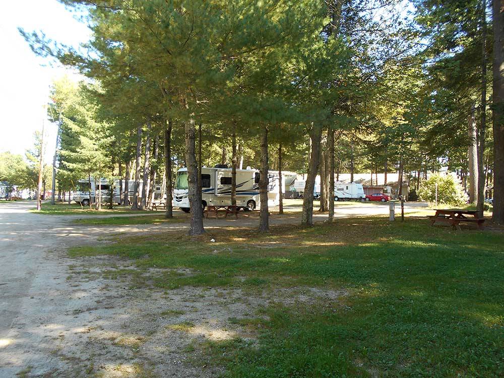 Gravel RV sites with trees at WASSAMKI SPRINGS CAMPGROUND