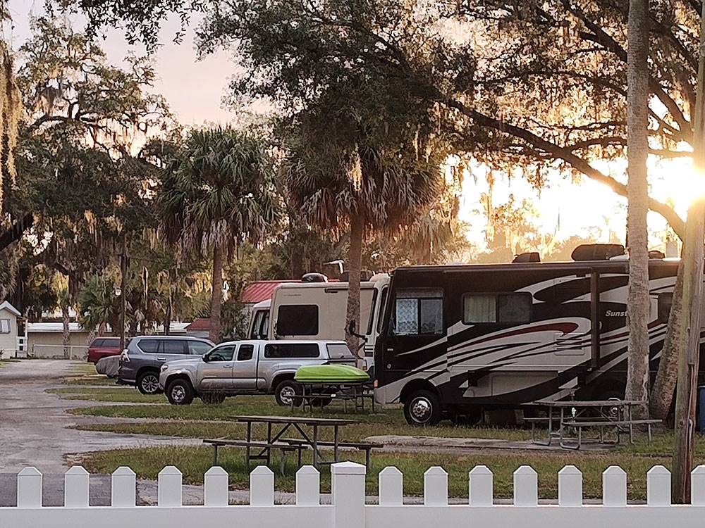 Row of RVs in sites at Silver Springs RV Park