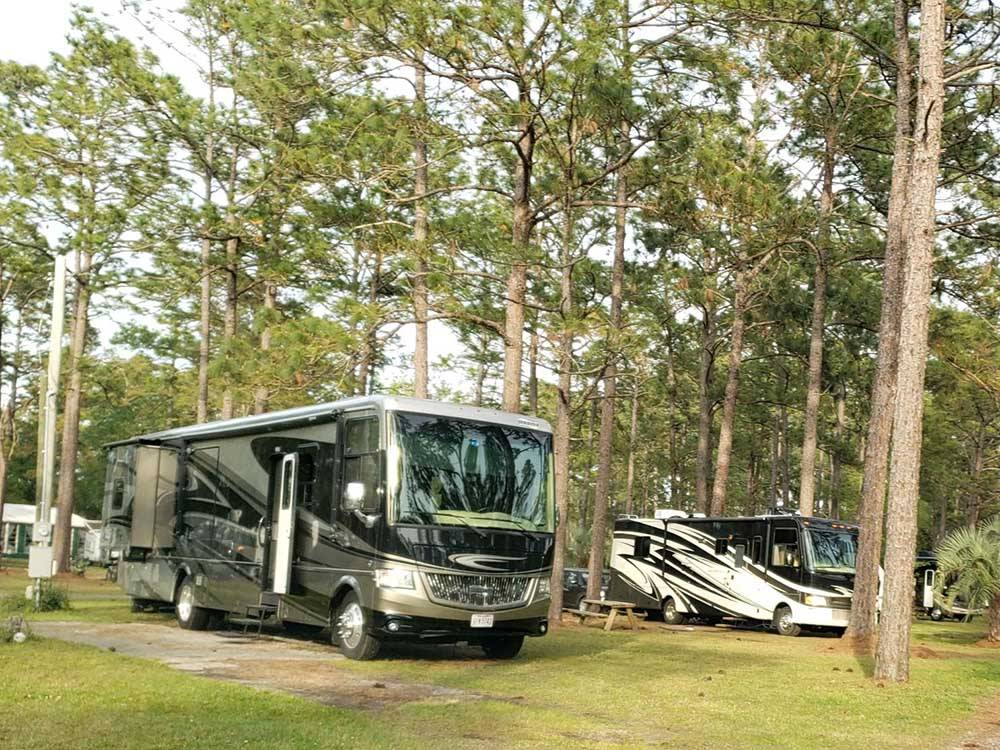A group of RVs parked under trees at NEW GREEN ACRES RV PARK