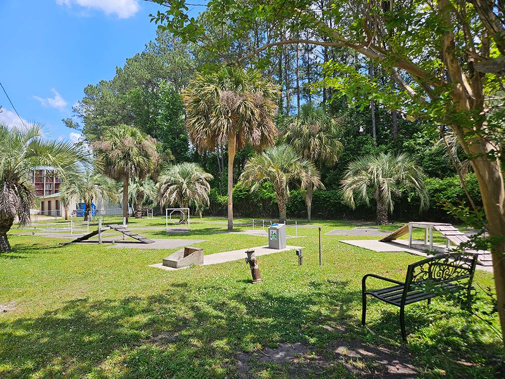 Dog park surrounded by palm trees at New Green Acres RV Park