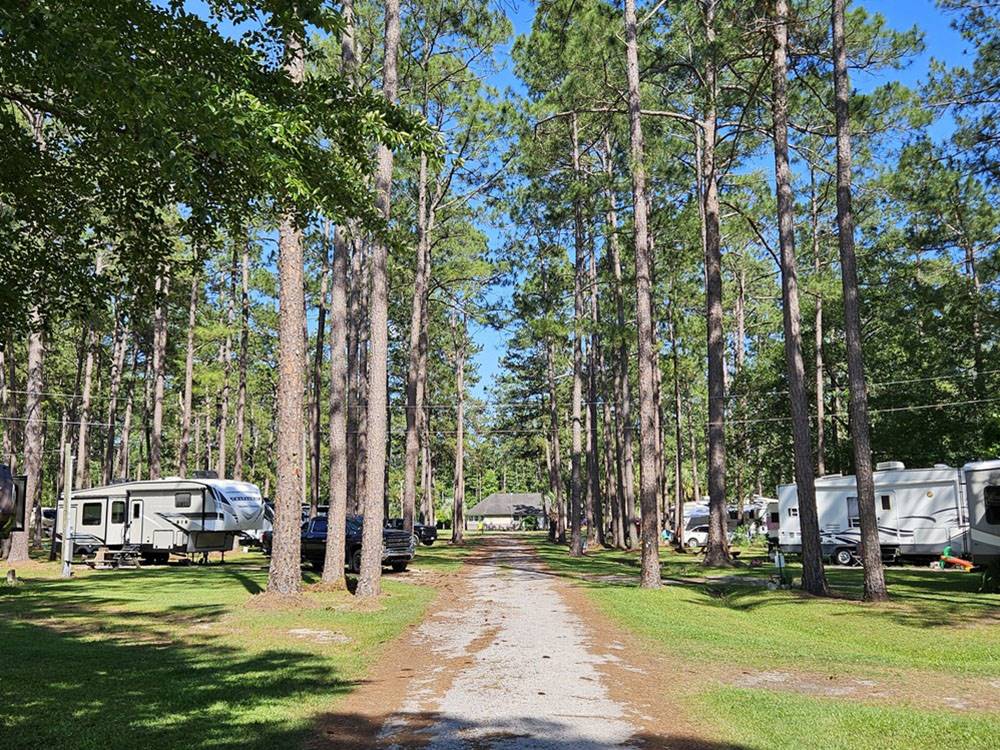 A road leading to sites