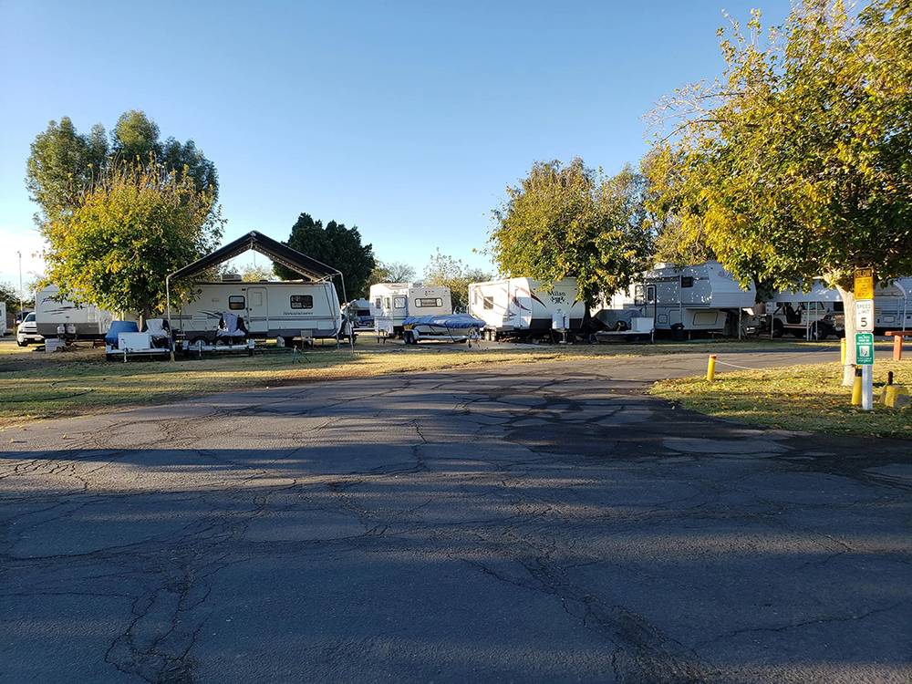 Travel trailers parked in sites